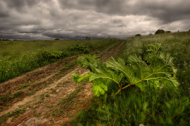 photo "***" tags: landscape, 