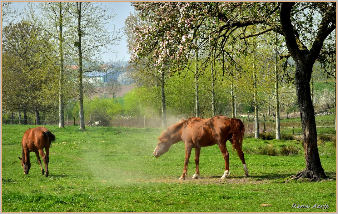 photo "***" tags: landscape, nature, reporting, 