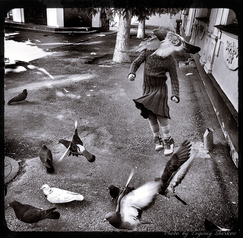 photo "***" tags: genre, children, flight, голуби, симбиоз