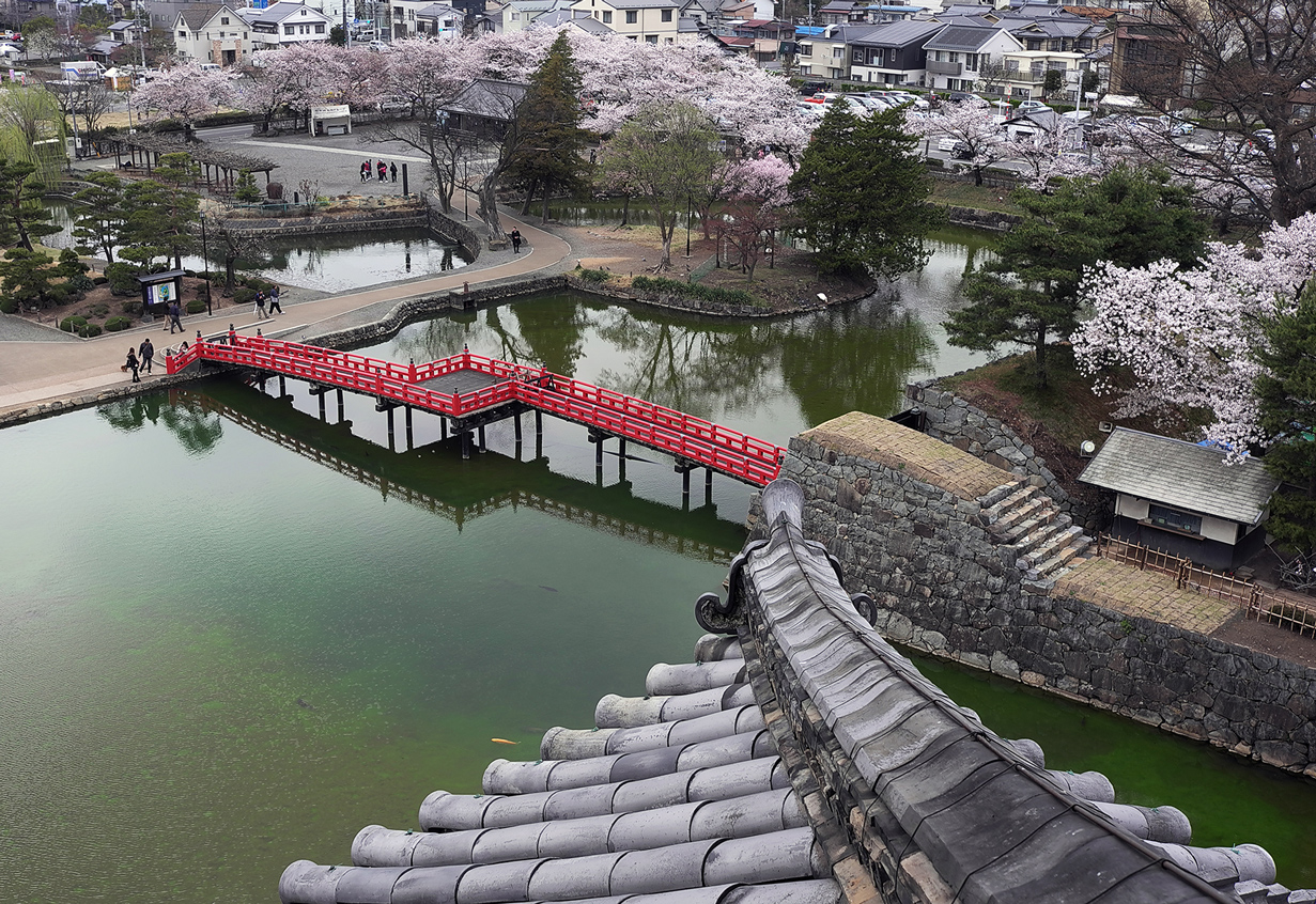 photo "Sakura blooming" tags: landscape, travel, 