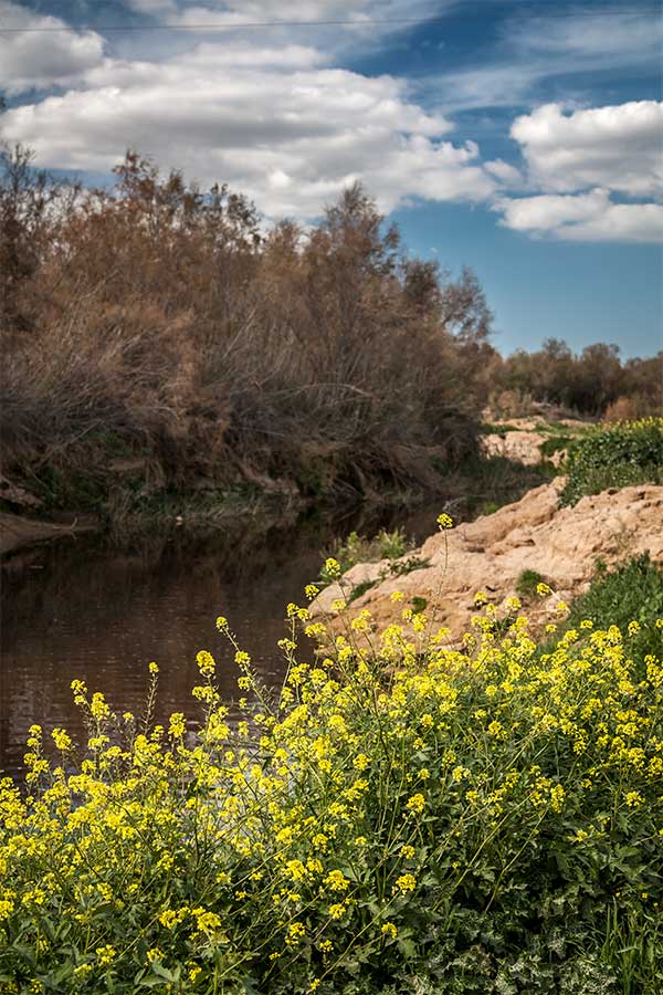 photo "***" tags: nature, landscape, travel, 