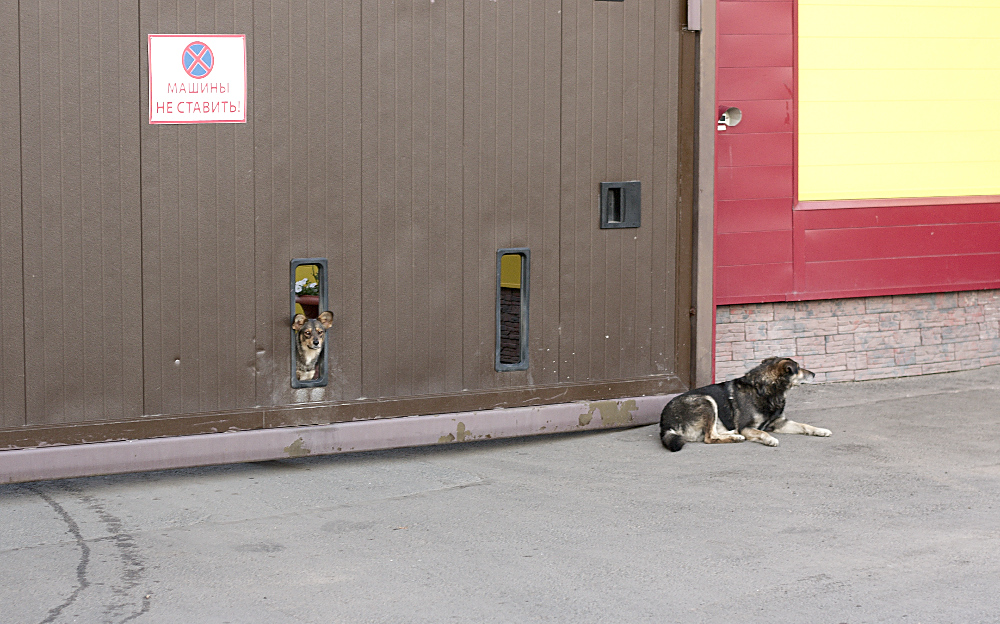 photo "***" tags: street, 