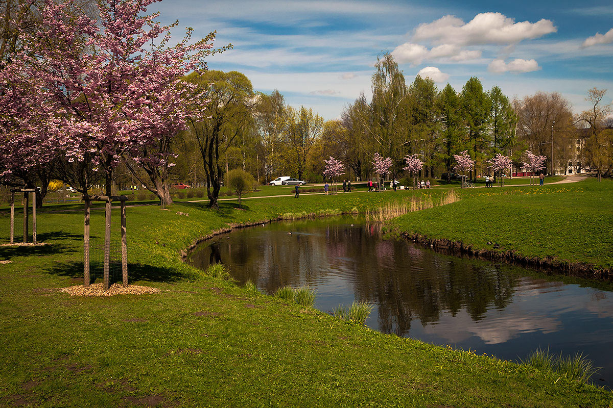 фото "В парке..." метки: пейзаж, природа, весна, вода, деревья, облака, отражения
