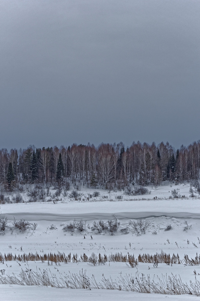 photo "***" tags: landscape, snow, сибирь