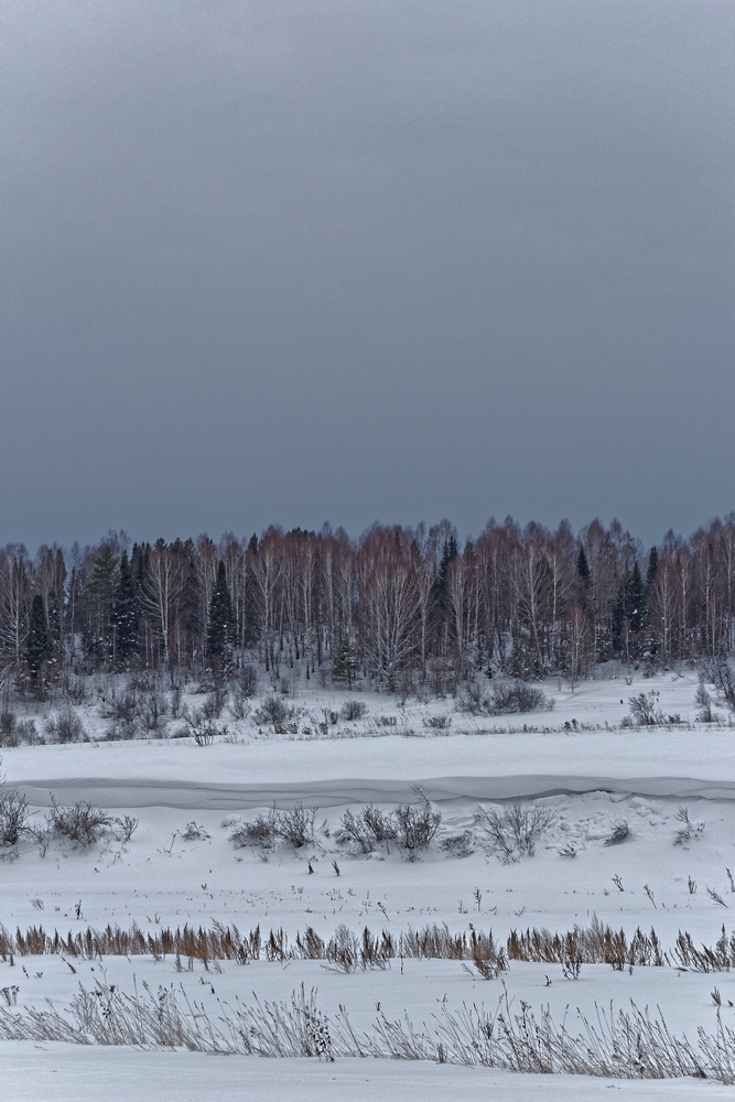 фото "снег" метки: пейзаж, сибирь, снег