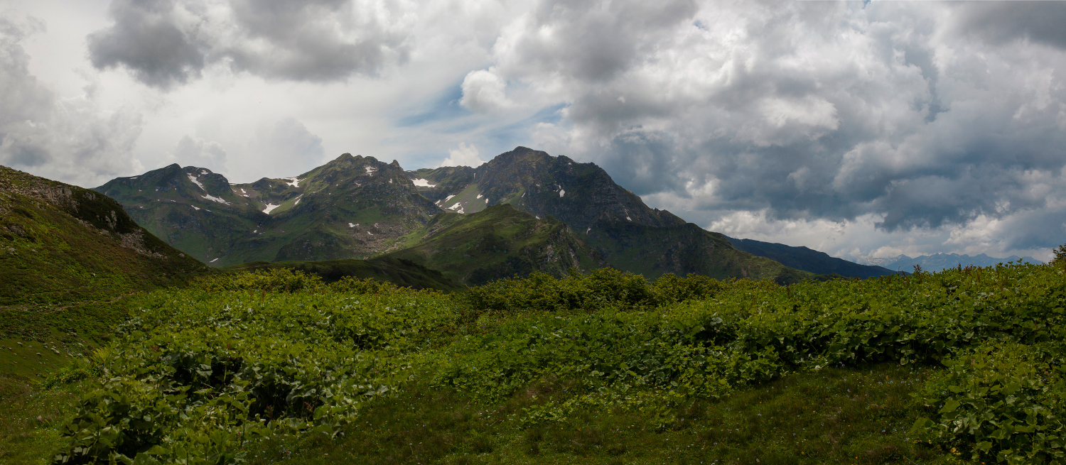 фото "Панорама" метки: пейзаж, путешествия, Абхазия, Кавказ, альпийские луга, горы, зелёный