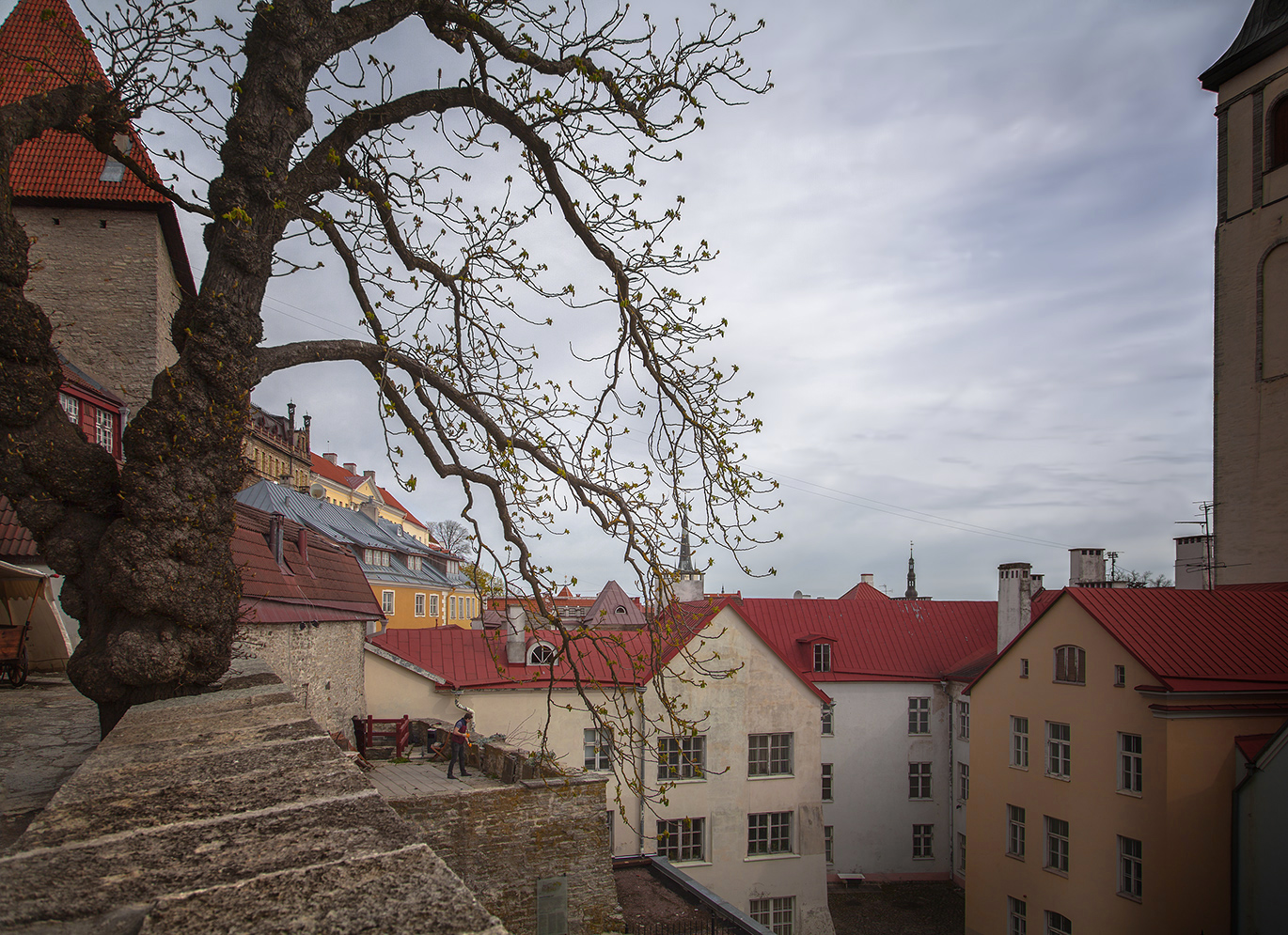 photo "***" tags: street, city, landscape, 