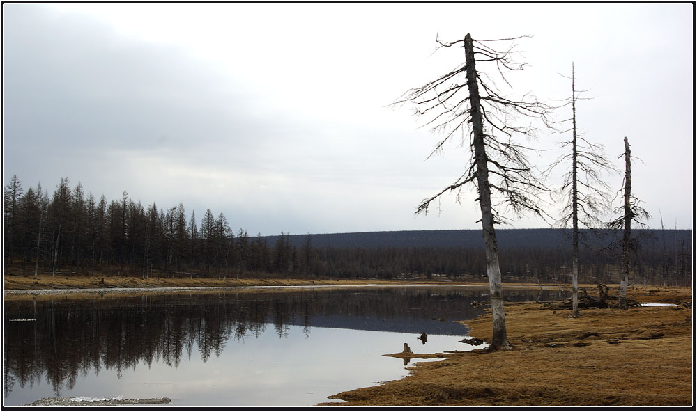 photo "***" tags: landscape, spring, taiga, Сытыкан, Якутия, север. река