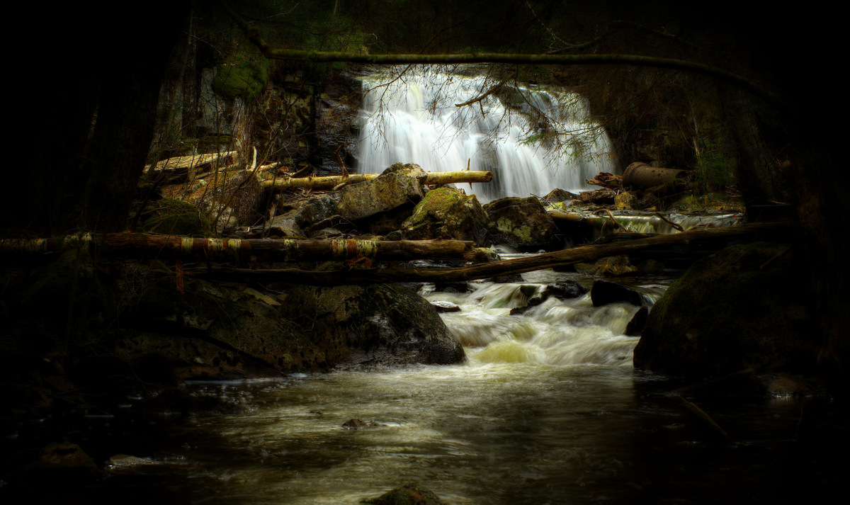 photo "***" tags: landscape, forest, water