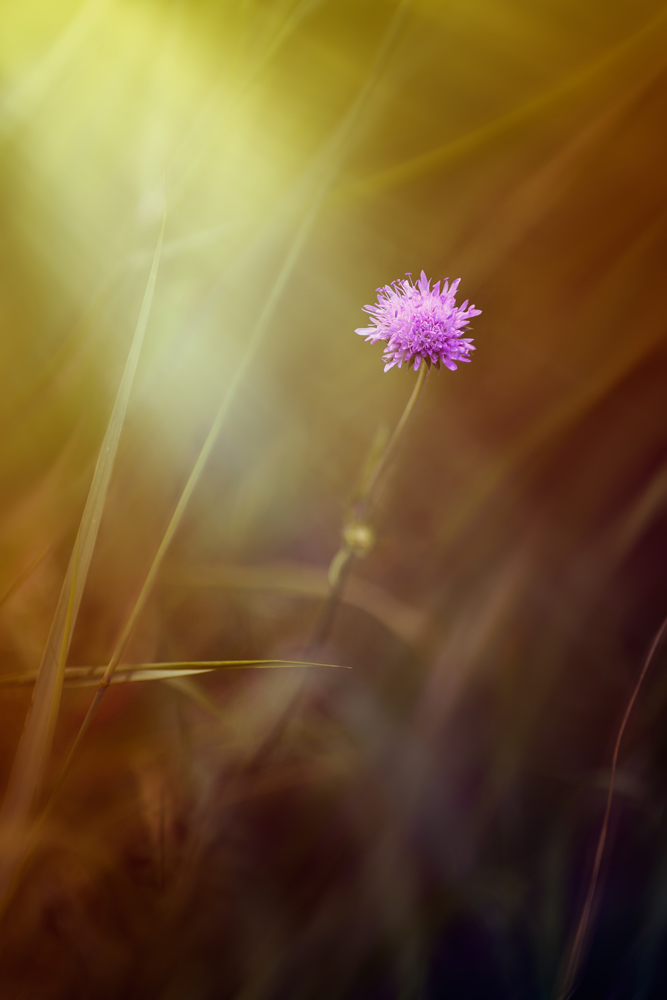 фото "***" метки: природа, 