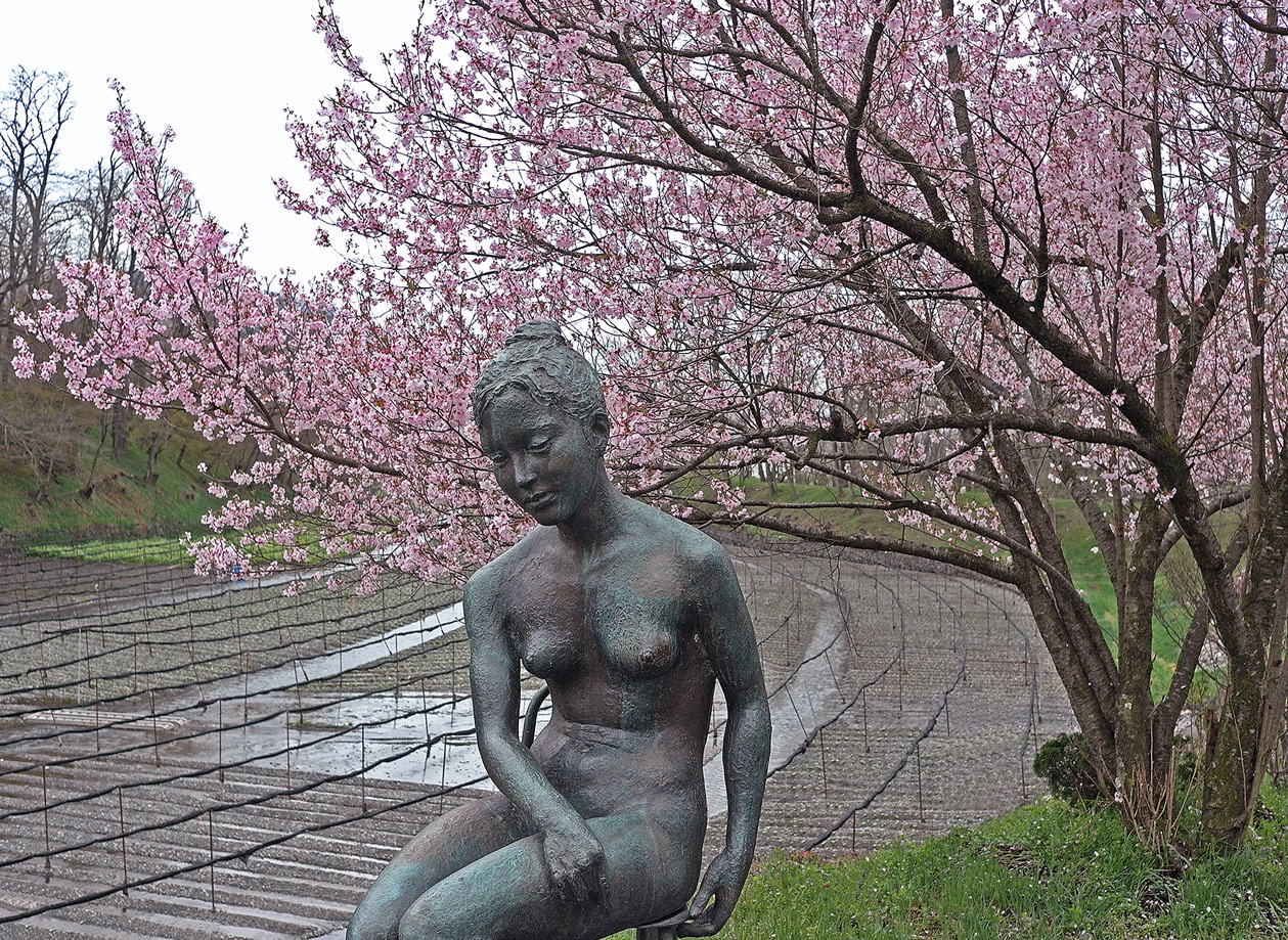 photo "Spring" tags: travel, nature, 