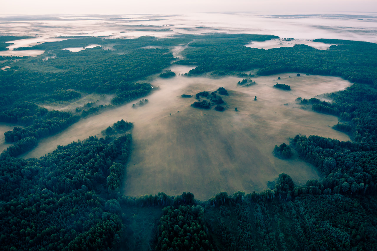 photo "Misty Angel" tags: landscape, nature, travel, fog, morning, Восход, высота, вышка