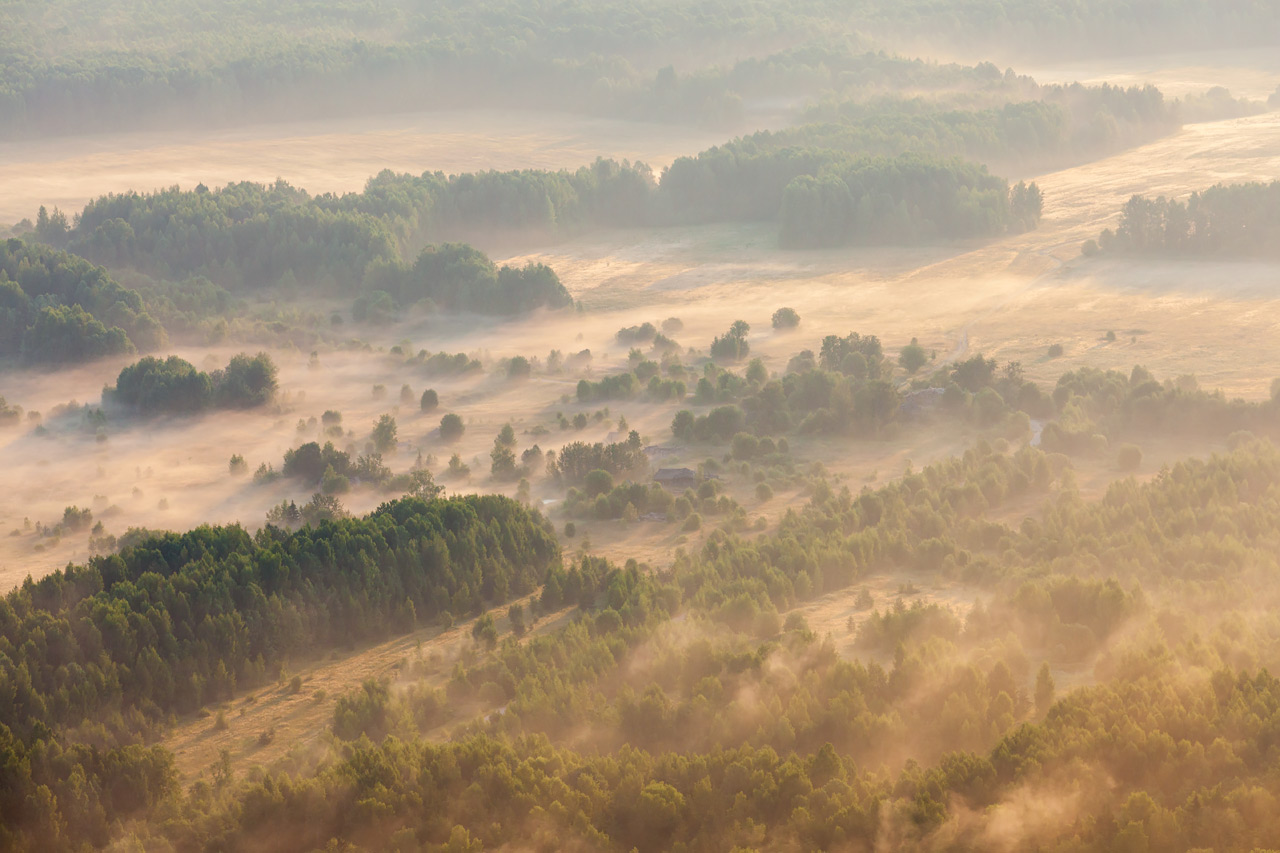 photo "Foggy morning" tags: landscape, nature, travel, fog, forest, morning, Восход, высота, вышка