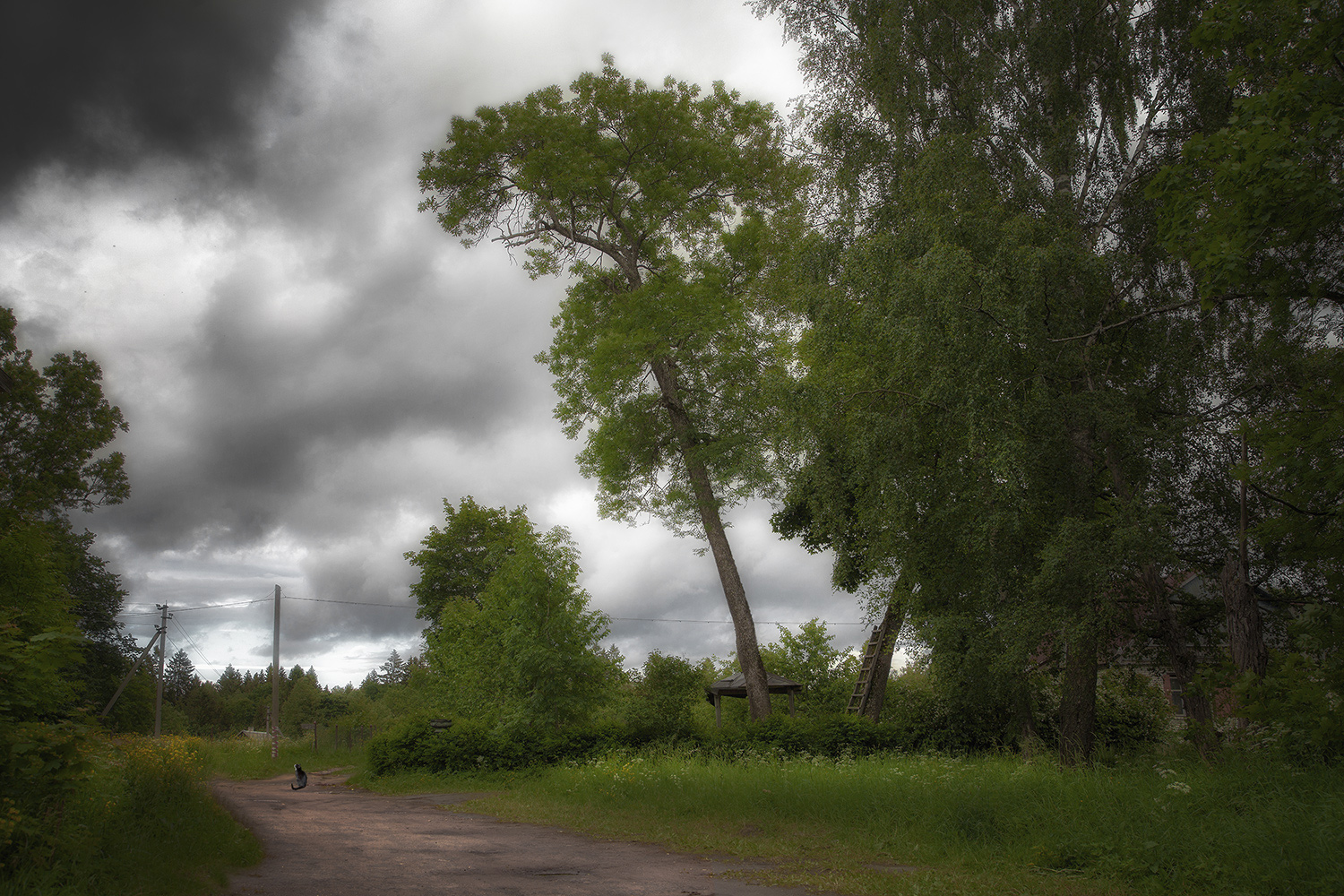 фото "Провинциальная жизнь" метки: пейзаж, природа, 