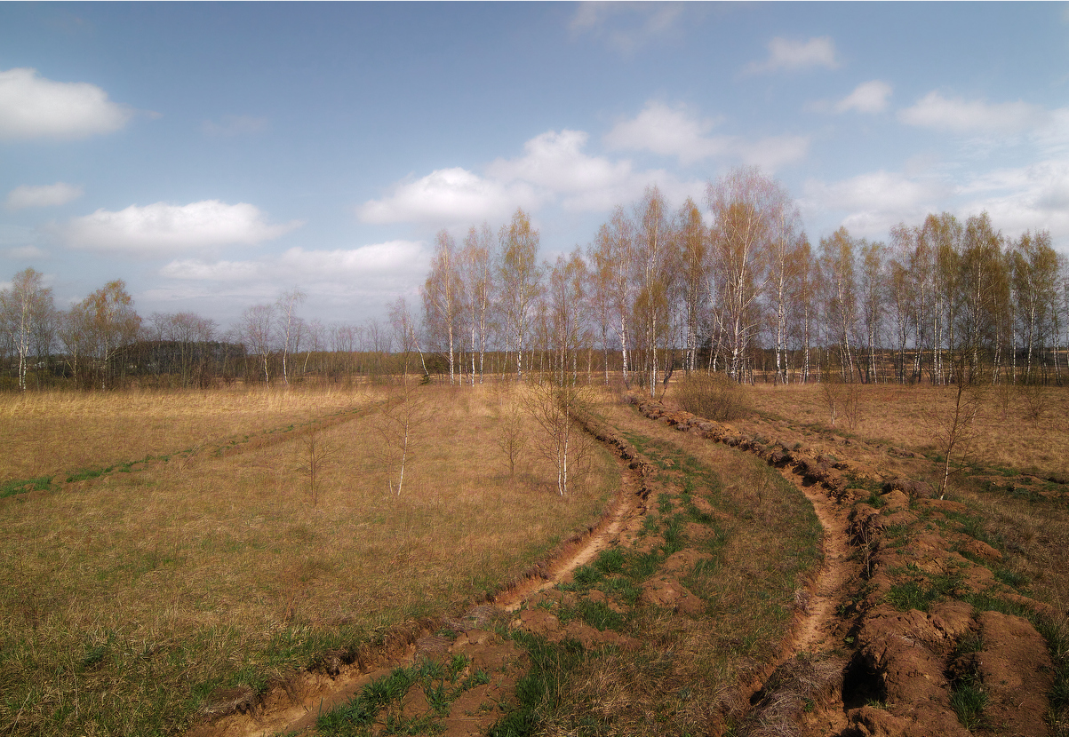 photo "***" tags: landscape, spring