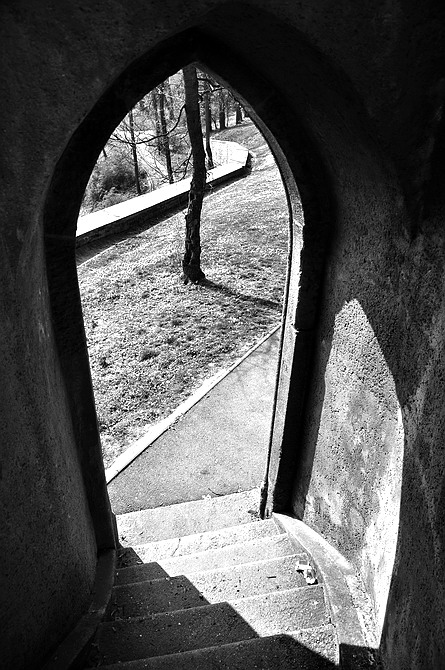 photo "Дерево и малая ворота" tags: black&white, Prag, Prague, Praha