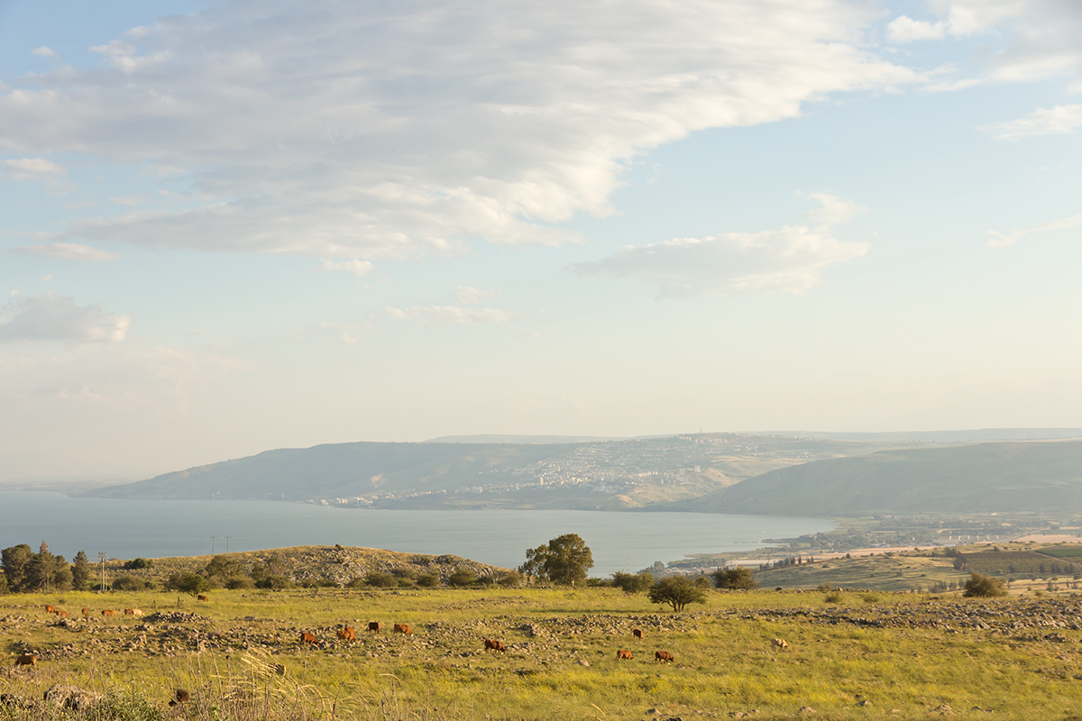 photo "***" tags: landscape, Израиль. озеро Кинерет