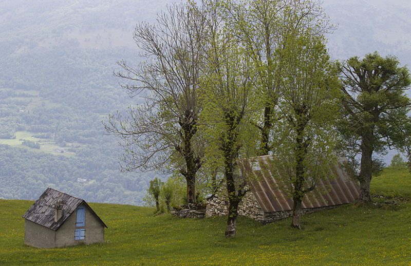 фото "Het kleine huis." метки: пейзаж, 