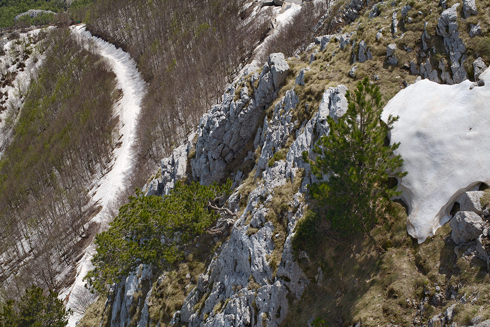 photo "***" tags: landscape, travel, nature, Europe, mountains, snow, spring, Ловчен, Черногория, деревья, май