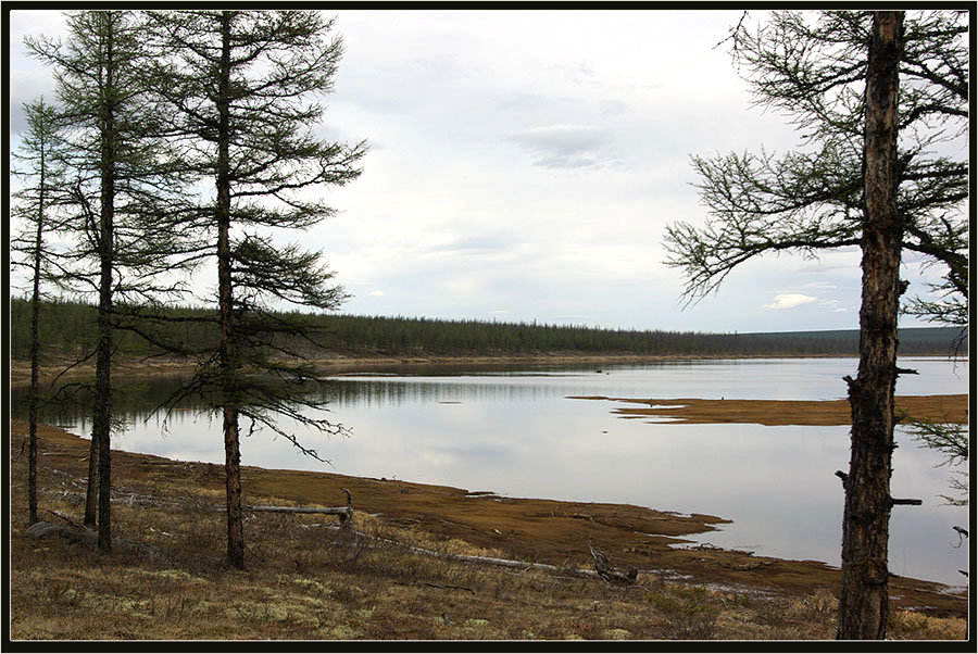 фото "Весенние разливы" метки: пейзаж, Якутия, иайга, разлив, река, север