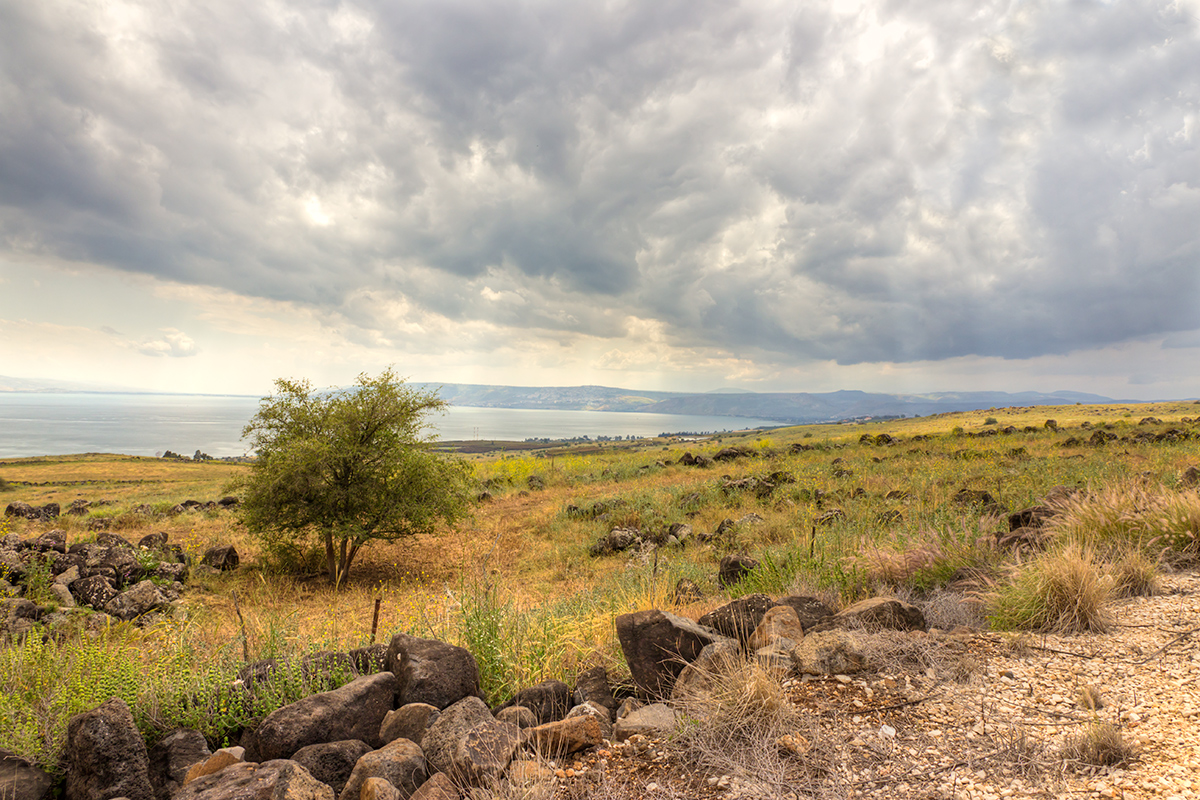 photo "***" tags: landscape, Israel, озеро Кинерет