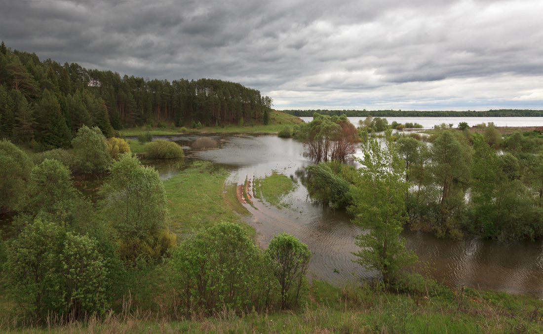 фото "Залитая дорога" метки: пейзаж, Кама, вода, дорога, лес, май, река, склон, трава, тучи