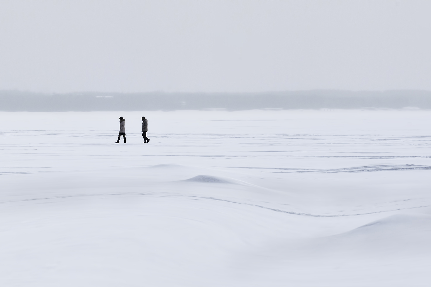 фото "По снежной простыне..." метки: пейзаж, природа, жанр, 