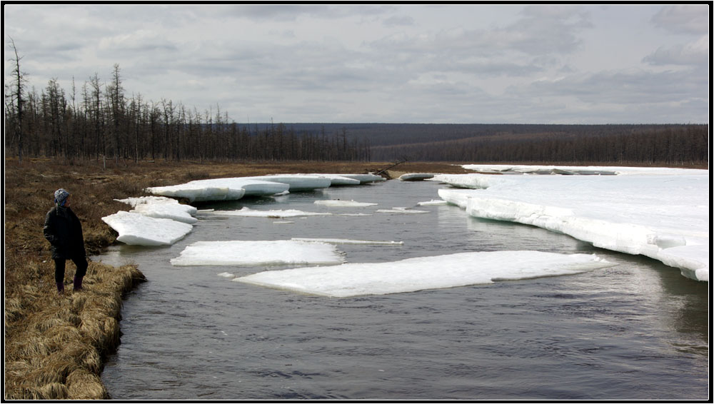 photo "***" tags: landscape, river, spring, taiga, Сытыкан, Якутия, лед