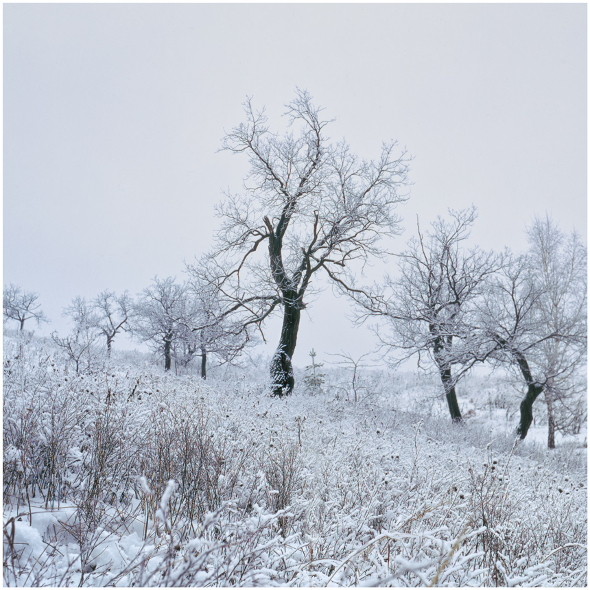 photo "***" tags: landscape, 120, 6x6, FUJICHROME Velvia 50, TLR, Yashica Mat Em