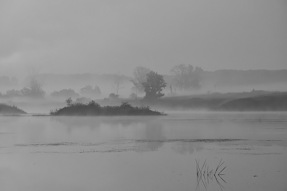 photo "***" tags: landscape, 