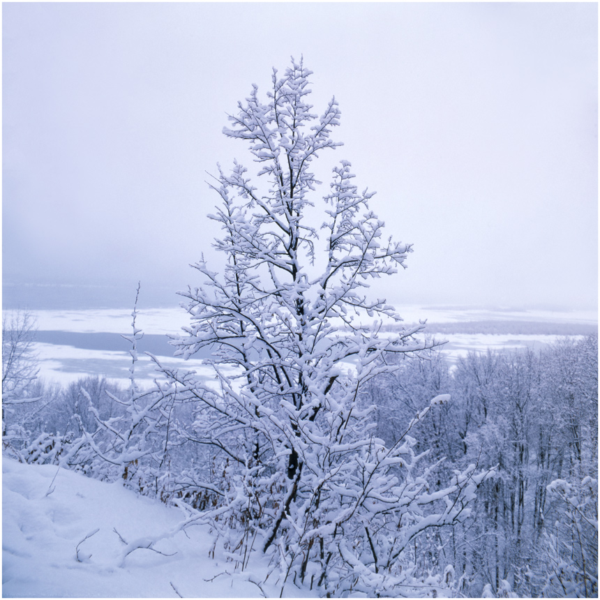 photo "***" tags: landscape, nature, 120, 6x6, FUJICHROME Velvia 50, TLR, Yashica Mat Em