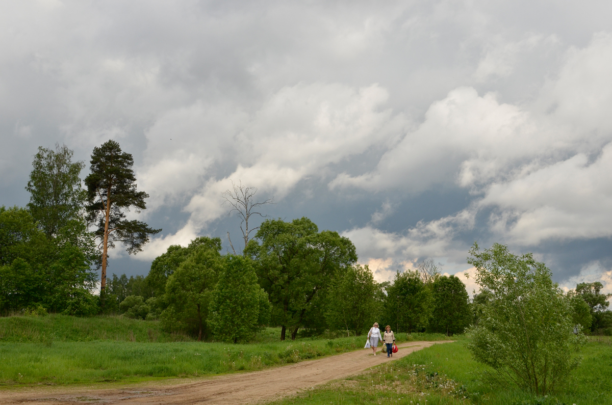 photo "***" tags: landscape, rain, sky, summer, тучи