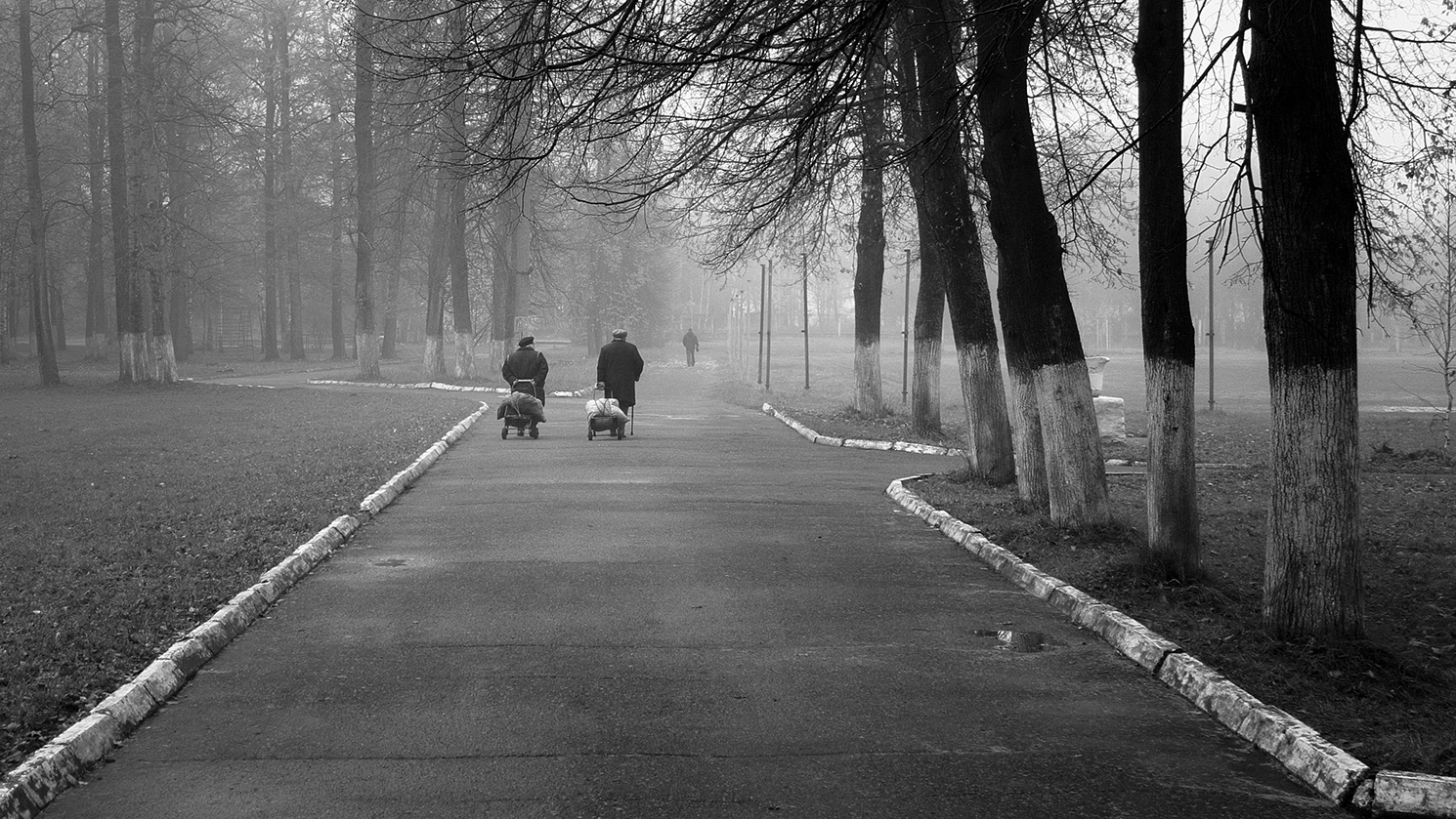 фото "В пелене осеннего тумана" метки: черно-белые, 