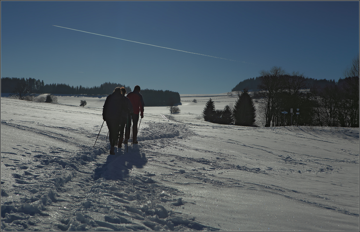 photo "Nordic Walking" tags: landscape, travel, sport, 