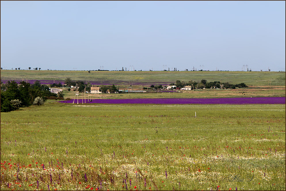 photo "Fields between Kerch and Feodosia" tags: , 