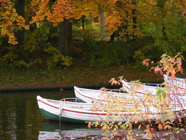 фото "Boat" метки: репортаж, 