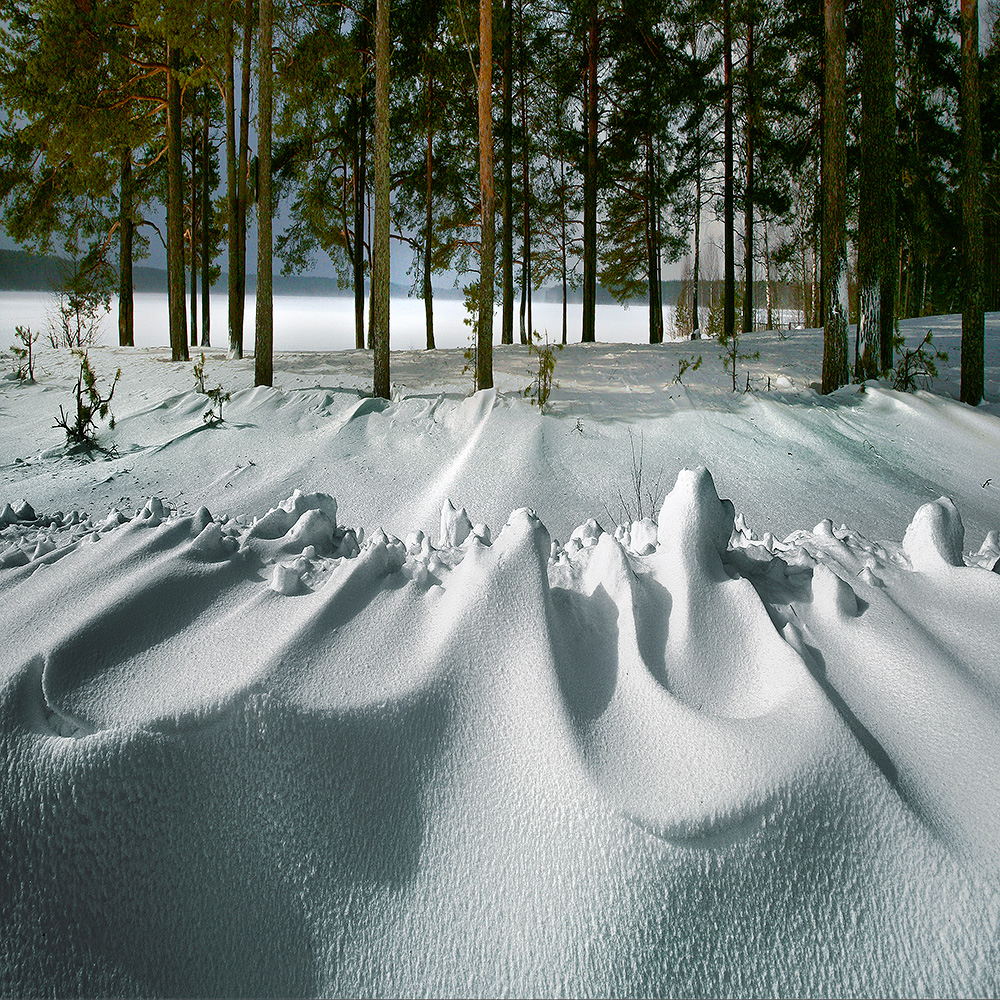 photo "***" tags: landscape, nature, снег сосны озеро март