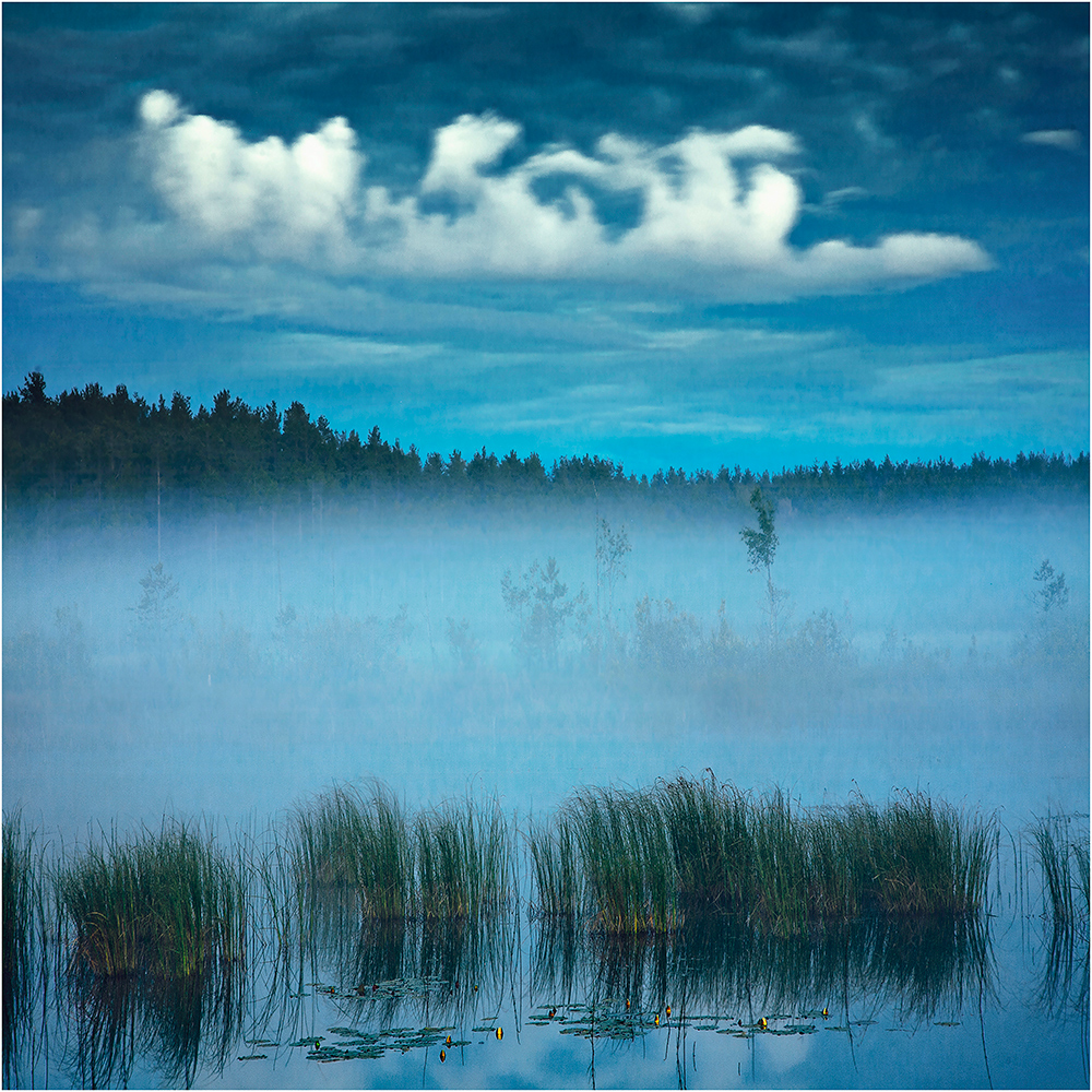 photo "***" tags: landscape, nature, fog, lake, sky, белая ночь