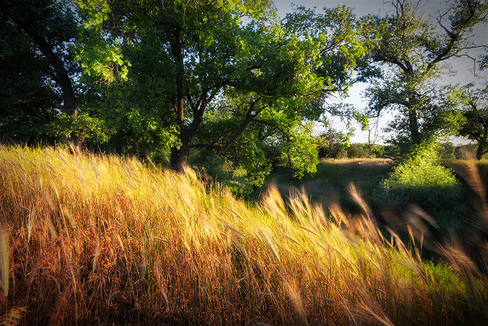 photo "***" tags: landscape, nature, Russia