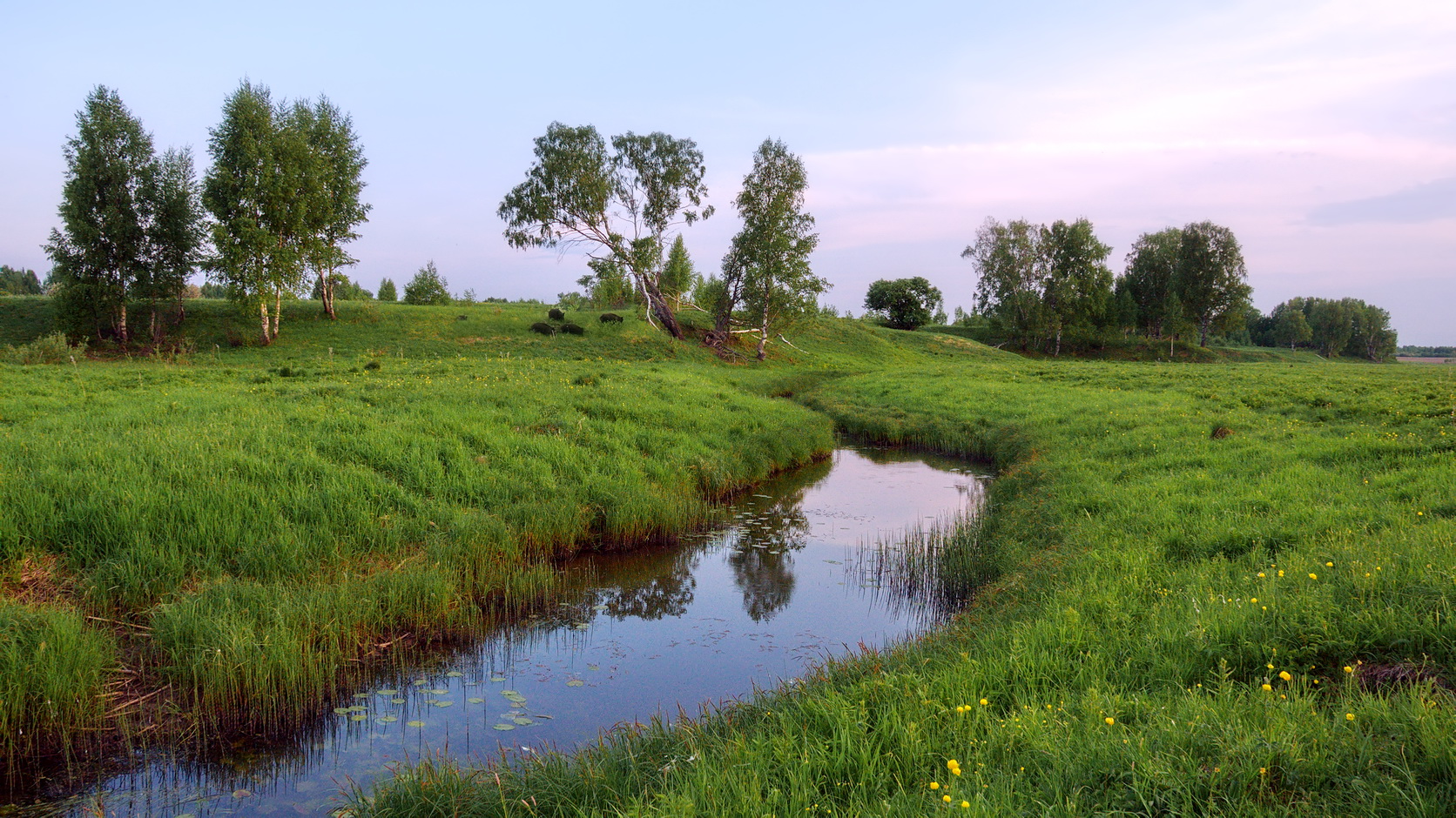 photo "***" tags: landscape, nature, 