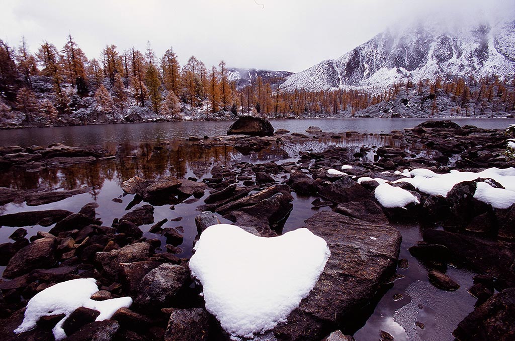 photo "Fall snow" tags: , 