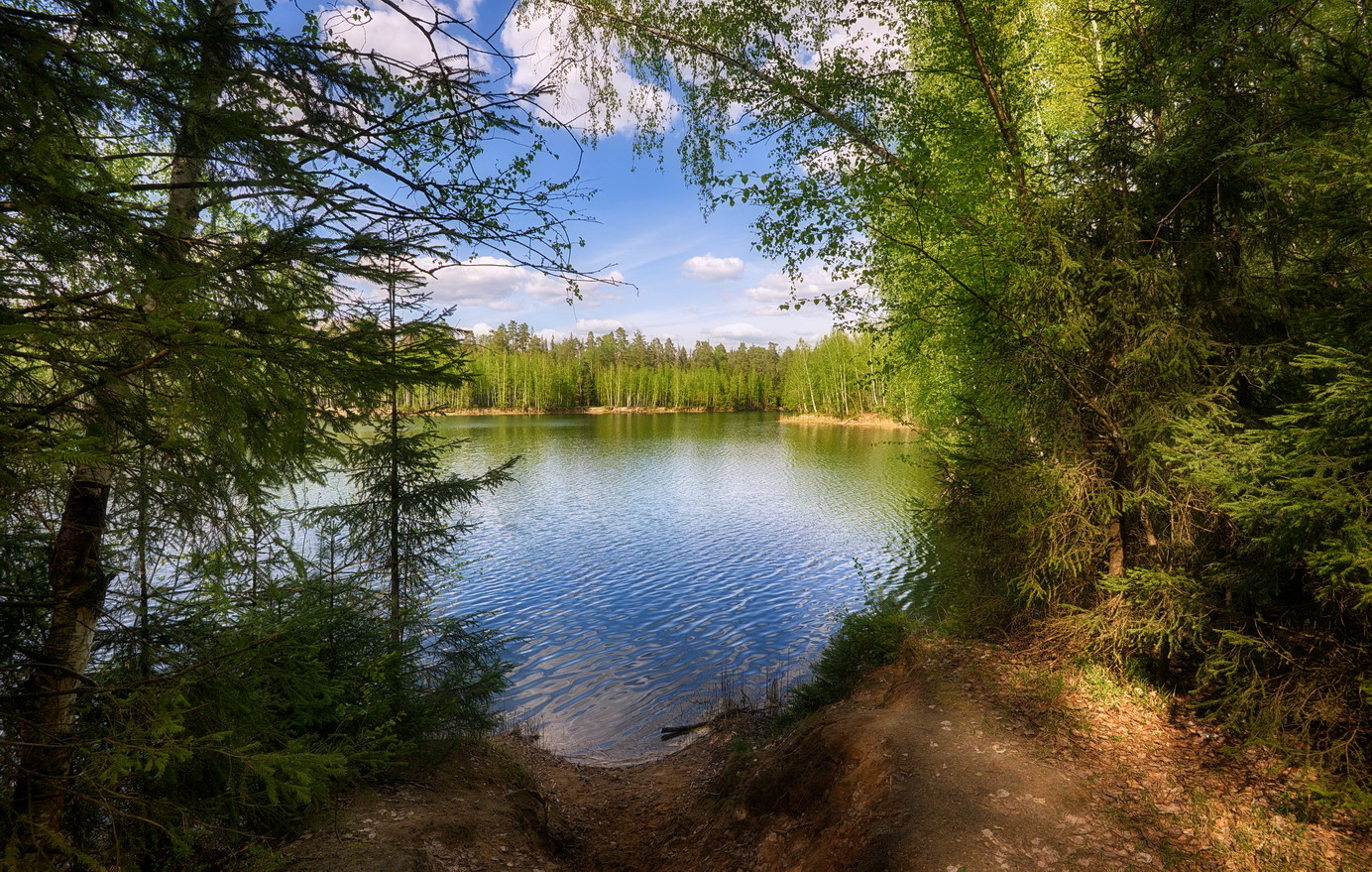 фото "Лесное озеро" метки: пейзаж, 