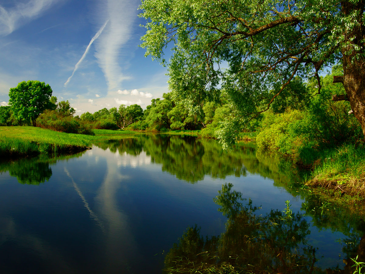 photo "***" tags: landscape, nature, summer, water