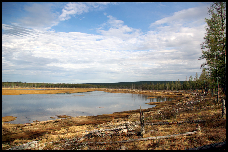 фото "Весенние разливы" метки: пейзаж, Сытыкан, Якутия, весна, река, тайга