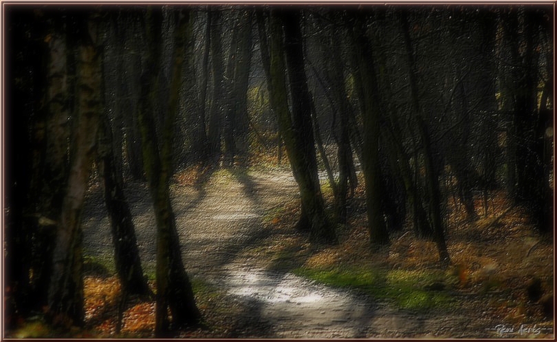 фото "***" метки: пейзаж, природа, 