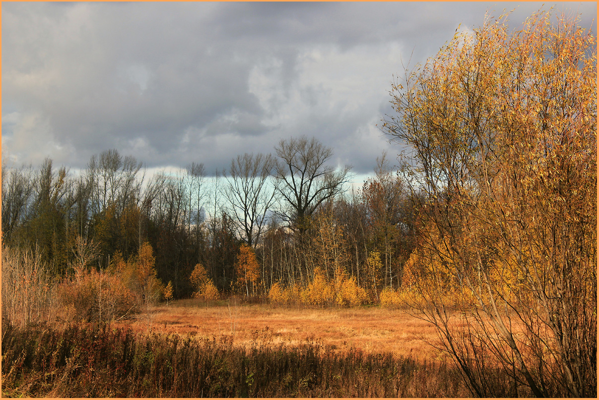 photo "October" tags: landscape, autumn, октябрь