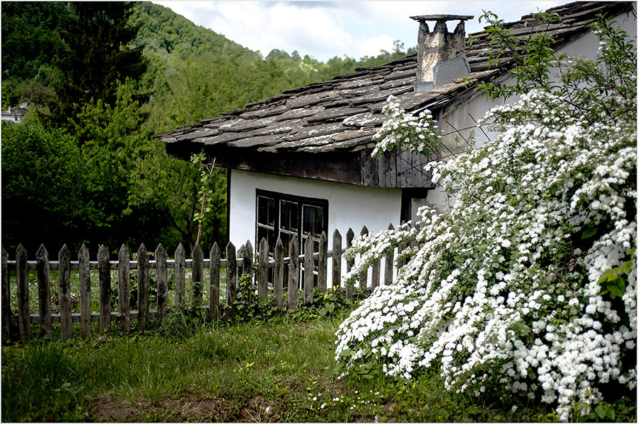 photo "Старый дом" tags: architecture, landscape, genre, 