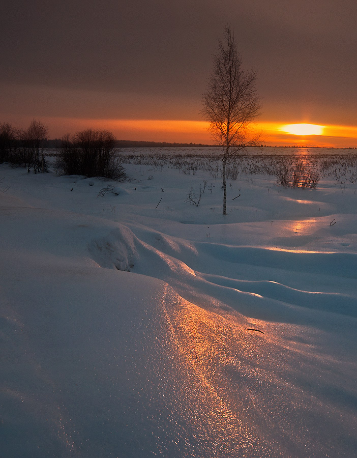 photo "***" tags: landscape, nature, evening, field, light, sunset, winter