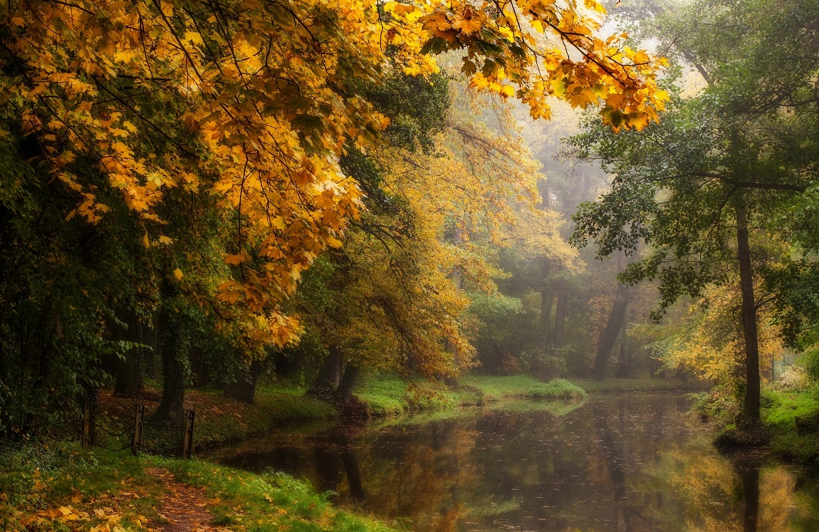 photo "Осенняя река" tags: landscape, autumn, river, water