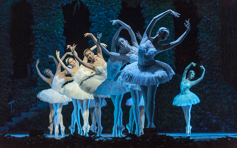 photo "Swan Lake,Russian Imperial Ballet" tags: genre, ballet, dance, scene